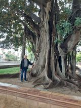 Foto pengguna jwpulawy1960