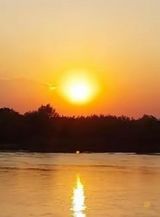 Benutzerfoto pszczelasz1410