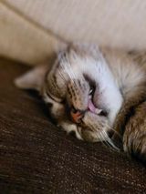 Foto pengguna kuba2700