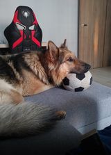 Fotos Emiliano91