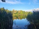 Benutzerfoto Mariuszek2594