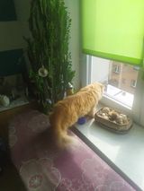 Фотография пользователя tojaludwik