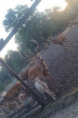 Zdjęcie użytkownika Rudzik420