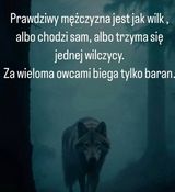 Fotka uživatele Mariuszek741