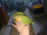 Foto pengguna falistapapga