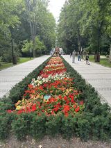 Фотография пользователя czajka7575
