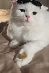 Foto pengguna matizmatizaa