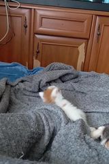 Foto pengguna grazynapetelska6