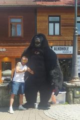 Fotos krolik8922