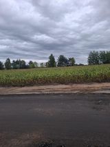 Benutzerfoto oskarmarian02