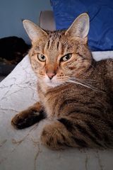 Fotos patrykpatryk978