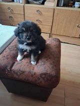 Fotos glowczynskakarol83