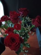 Fotos Jarekjoh