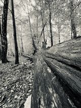 Fotos DluzszaChwila83