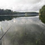 Benutzerfoto hofmangrzegorz79