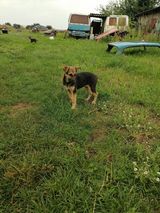 Fotos Gennad