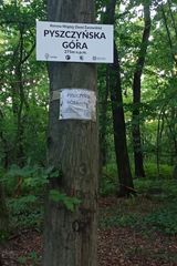 Фотография пользователя Tytusdezoo