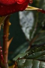 Foto pengguna Viola05