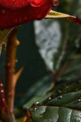 Foto pengguna Viola05