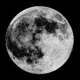 Photos cichy29821982