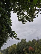 Foto pengguna Damian335