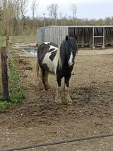 Zdjęcie użytkownika MichalWodz
