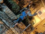 Фотография пользователя moussadz624