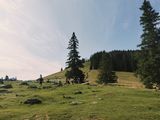 Фотография пользователя franekdolas36zwo
