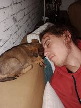Фотография пользователя Alfatyp
