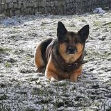 Benutzerfoto andrzejstrzecha02