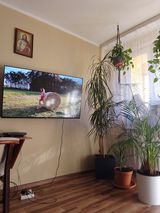 Foto pengguna zielinskiwojtek847