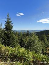 Benutzerfoto ON1979r