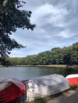 Benutzerfoto Bezniku2