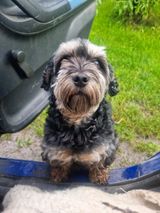Benutzerfoto dawidgrzegorz