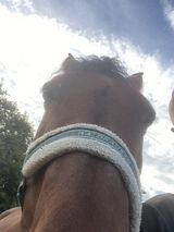 Benutzerfoto Krzys111