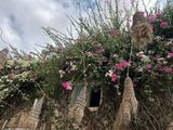 Фотография пользователя Chahinedraouil