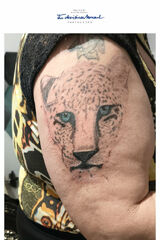 Foto pengguna Panterka15