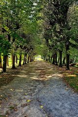 Фотография пользователя pciesielski041195