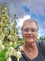 Benutzerfoto haasojka62