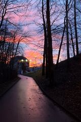Benutzerfoto takapasja27