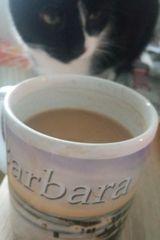Фотография пользователя BachaF