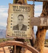 Benutzerfoto FREELANCER00