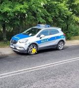 Фотография пользователя ziomol69