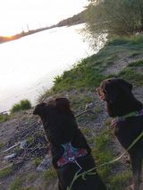 Zdjęcie użytkownika kondzio0106