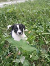 Benutzerfoto Grzes9191