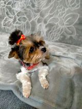 Фото користувача firstact