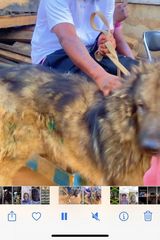 Фотография пользователя Koby