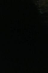 Benutzerfoto Fryta6