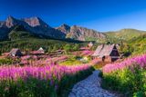 Фотография пользователя Marcin77744