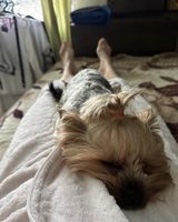 Foto pengguna aleksmaya477